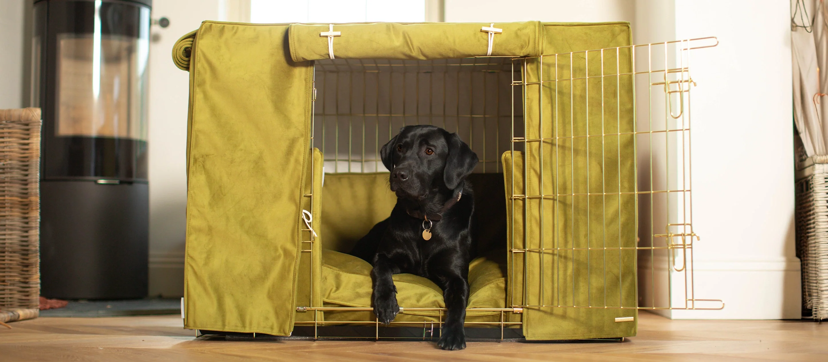 Unrivaled Luxury for Elegant Pets